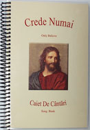 Only Believe Songbook - Romanian